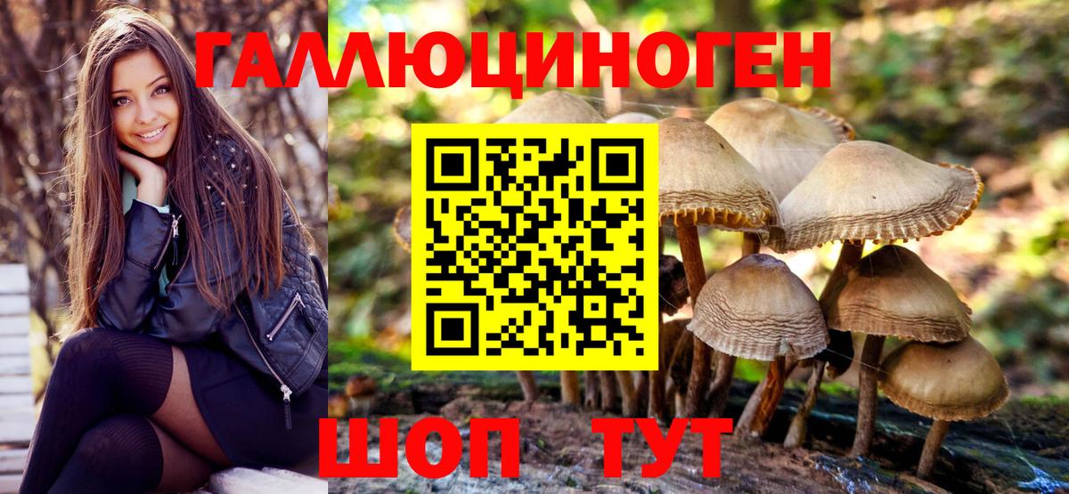 Новошахтинск  Псилоцибиновые грибы мицелий  Галлюциногенные грибы Magic Shrooms  цены   Вход с VPN 